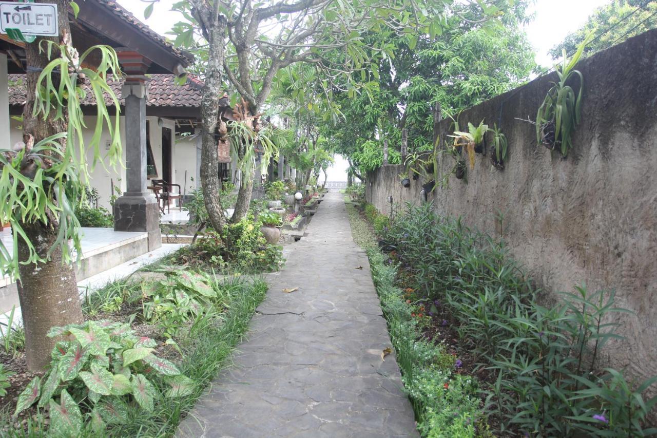 Temple Cafe & Cottages 甘地达萨 外观 照片